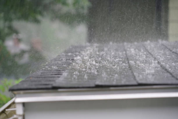 Best Rubber Roofing (EPDM, TPO)  in Barrington Hls, IL