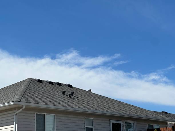 Best Cold Roofs  in Barrington Hls, IL